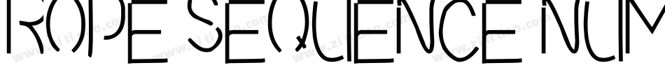 ROPE SEQUENCE NUMBER字体转换